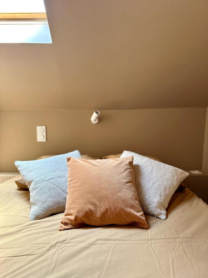 Ecrin De Calme Avec Terrasse Apartment Chambery Luaran gambar